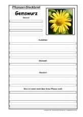 Pflanzensteckbrief-Gemswurz.pdf